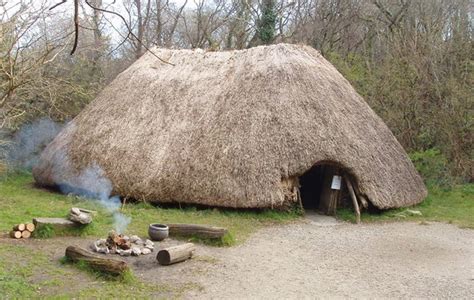 Dairy was an important food source in the Irish Neolithic | Ancient ireland, Ireland, Stone age ...