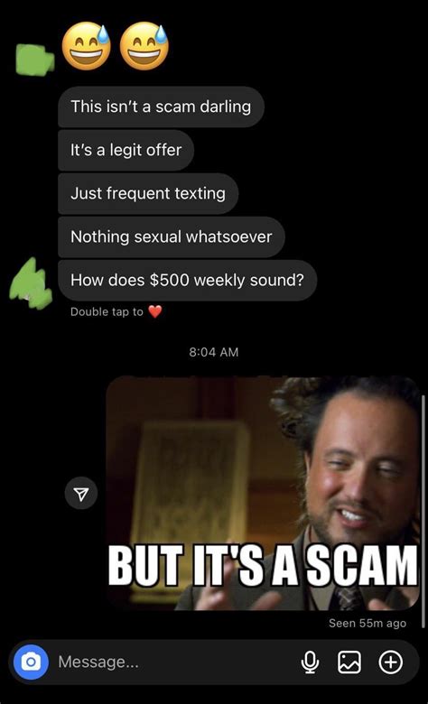 Scammer doesn’t seem to like my memes : r/preyingmantis