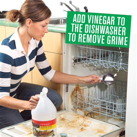 How To Clean The Dishwasher With Vinegar - New Zealand Handyman Magazine