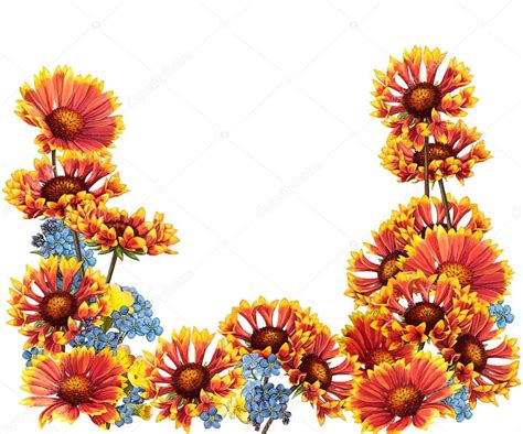 Orange flowers border — Stock Photo © agaes8080 #151010606