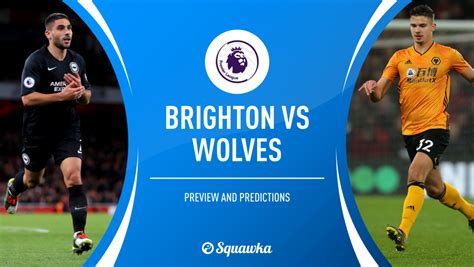 Brighton v Wolves prediction, preview & team news | Premier League