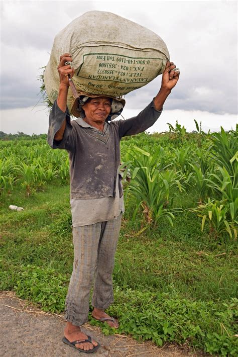 Free Images : people, woman, farm, travel, male, bear, harvest, crop, soil, agriculture, last ...