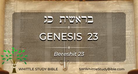 Genesis 23 (Bereshit) - Whittle Study Bible