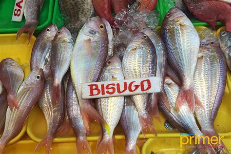 Market Guide to Common Fishes in the Philippines | Philippine Primer