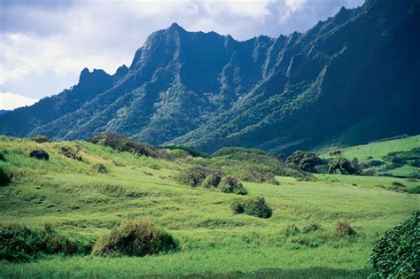 Top 5 Long Hiking Trails on Oahu | Hawaii Aloha Travel