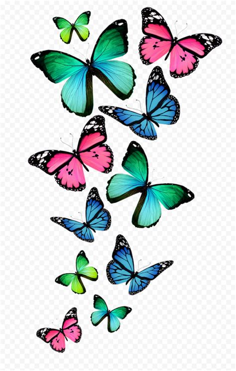 Butterflies Flying Wallpaper Clipart | Citypng