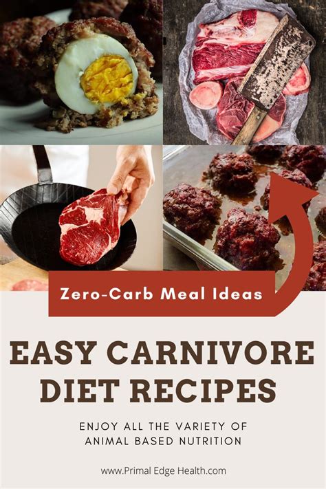 Make the most of your carnivore diet with delicious, easy to make ...