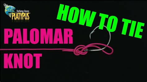 How to Tie a Palomar Knot - Tackle Tactics Animated Knot Series - YouTube