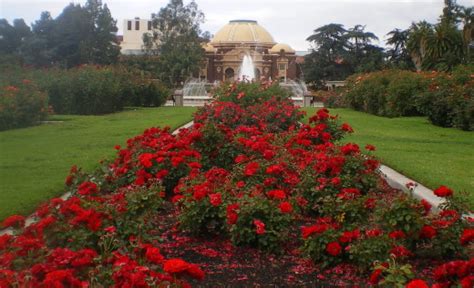 Exposition Park Rose Garden, Los Angeles, CA - California Beaches