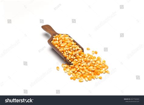 29,843 Corn seeds for popcorn Images, Stock Photos & Vectors | Shutterstock