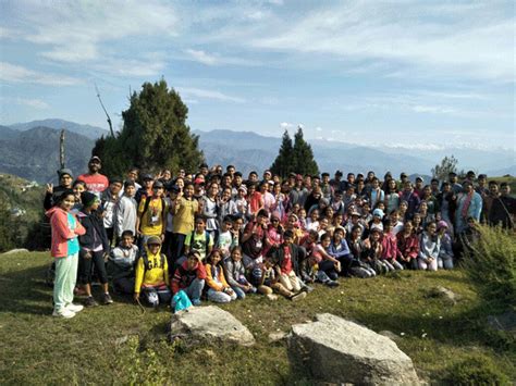 a group of people standing on top of a grass covered hillside next to trees and rocks