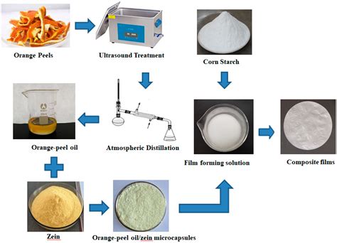 Antioxidants | Free Full-Text | Preparation and Characterization of ...