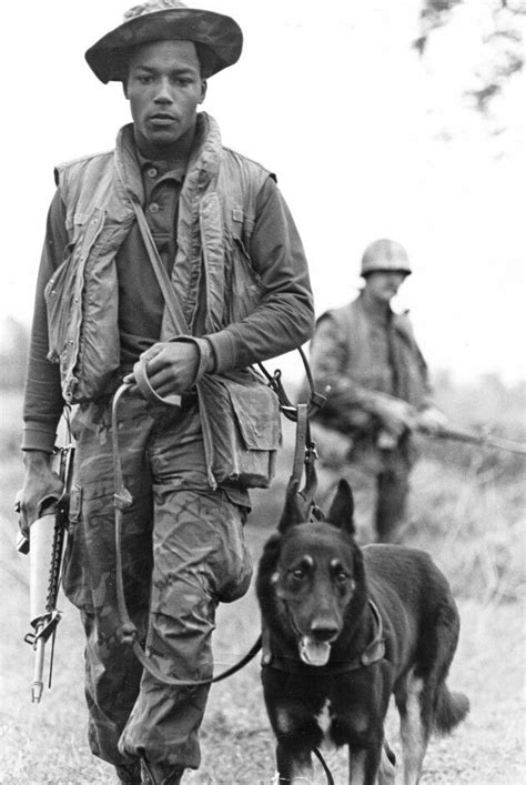 Nam, a soldier and his dog | Vietnam war, Military working dogs ...