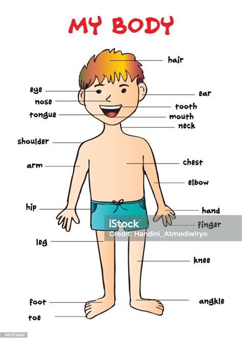 My Body Educational Info Graphic Chart For Kids Showing Parts Of Human Body Of A Cute Cartoon ...