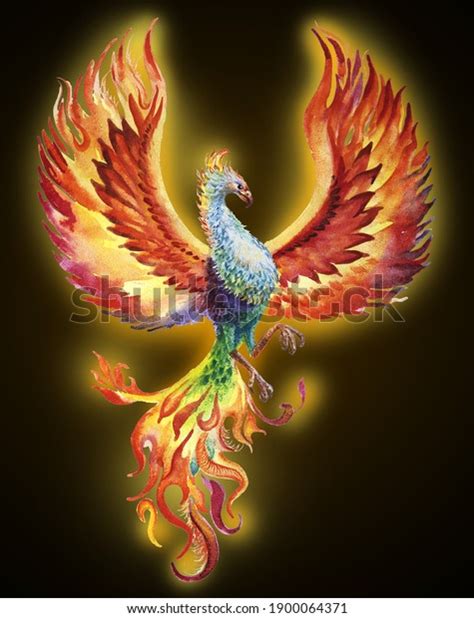 Phoenix Bird Watercolor Illustration On Dark Stock Illustration ...