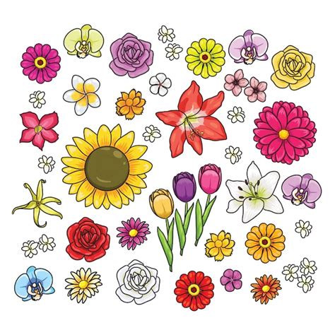 Varios tipos de flores de dibujos animados | Vector Premium