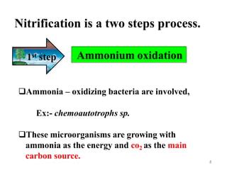 Nitrification process | PPT