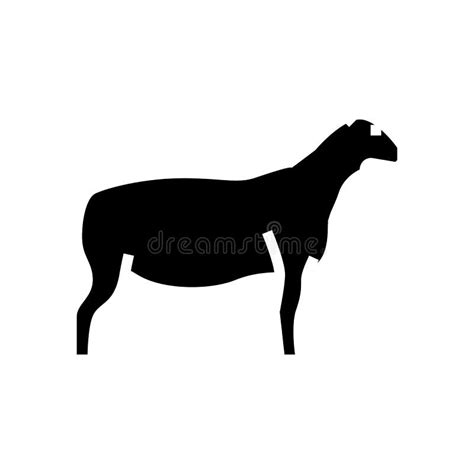 Dorper Sheep Glyph Icon Vector Illustration Stock Vector - Illustration ...