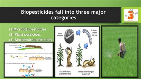 Biopesticide