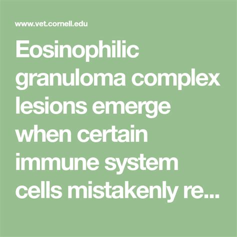 Eosinophilic Granuloma Complex | Heart medication, Immune system, Skin ...