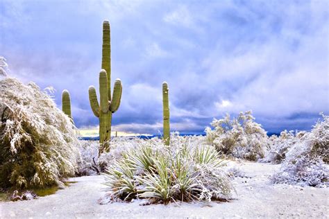 Rare Snow in Arizona Transforms Rocky Desert into Winter Wonderland