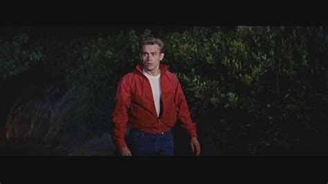 Rebel Without a Cause - Rebel Without a Cause Image (12096494) - Fanpop