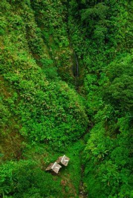 Backpacking Philippines: Southern Leyte's Agas-agas Bridge Beckons Bungee Jumping, Extreme Sports