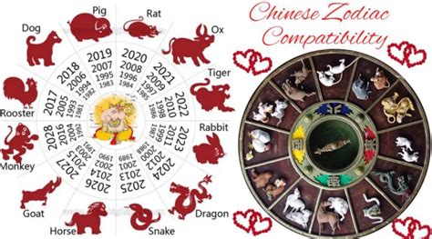 Chinese Zodiac Compatibility for Love, Marriage & Relationship