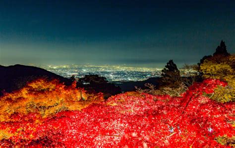 [2023] Experience autumn in Japan in 60 minutes from Shinjuku! “Autumn Mt. Oyama Autumn Leaves ...