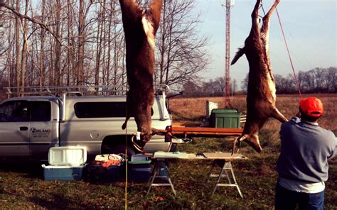 A Guide to Butchering Your Own Whitetail Deer This Season