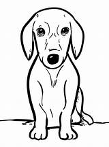 Download Dog Coloring Pictures  Wallpaperscom sketch template
