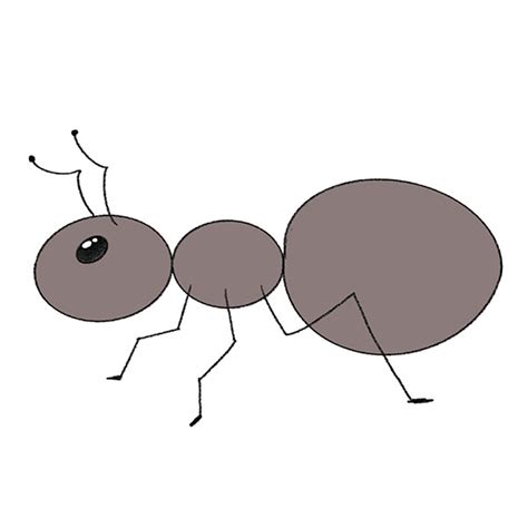 Ant Drawing For Kids