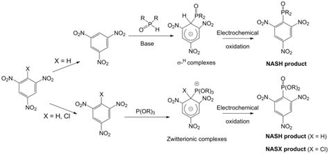 Electrochemical Synthesis of Organophosphorus Compounds through Nucleophilic Aromatic ...