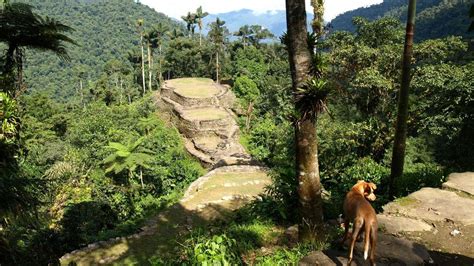 Trekking to Colombia’s Lost City - BBC Travel