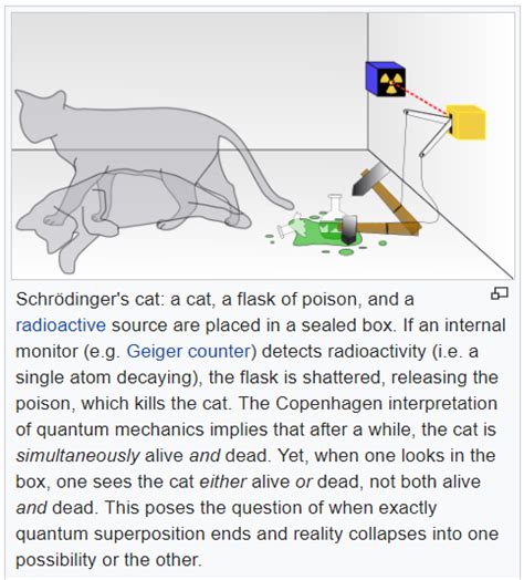 Schrodinger's Cat Experiment - Quantum Physics Lady