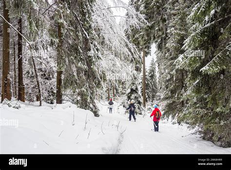 Landscape In Winter In Thuringian Forest Near Schmiedefeld Am Rennsteig ...