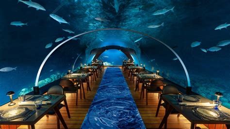 Underwater Restaurant Maldives