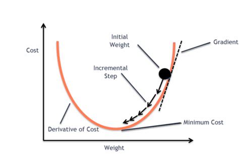 Gradient Descent in Machine Learning: Python Examples