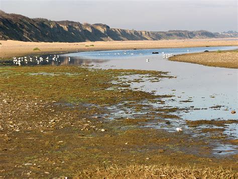 Kessingland Beach | Suffolk | UK Beach Guide