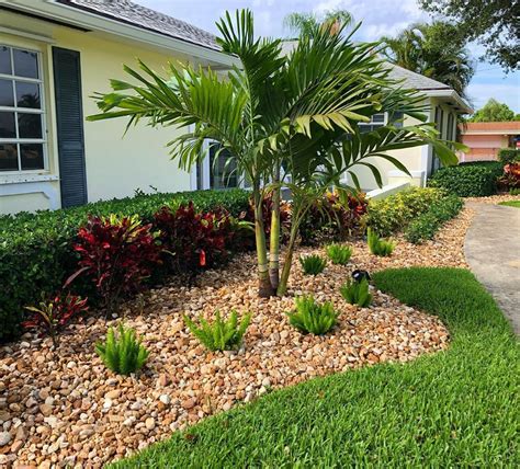 11 Low-Maintenance Palm Trees That You'll Love - Garden Tabs | Florida landscaping, Front yard ...