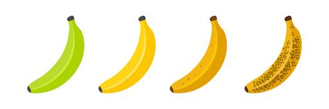 Banana Ripeness Stages Of Growth And Ripening Of Banana Fruit Selection ...