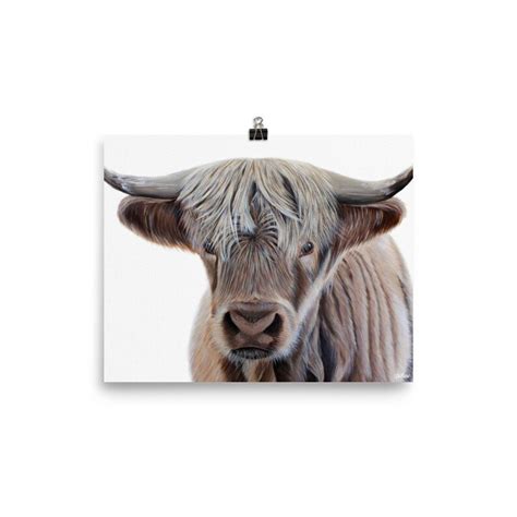 Highland Cow Art Print. Scottish Native Cow Wall Art. - Etsy