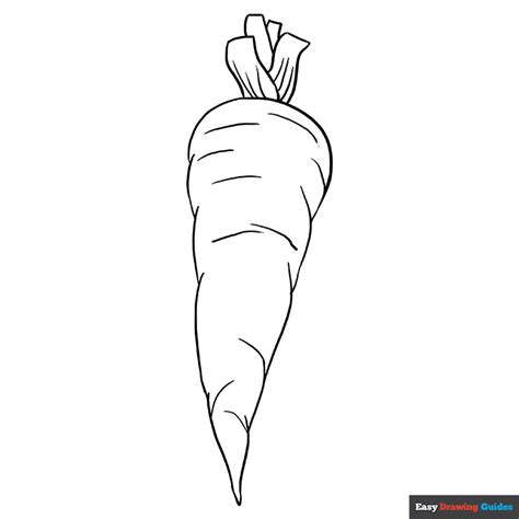 Carrot Coloring Page | Easy Drawing Guides