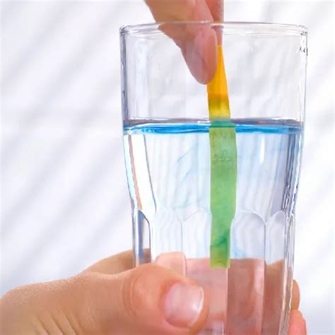 PH Testing In Water at best price in Gurugram by Avitech Nutrition Pvt. Ltd. | ID: 20670139855