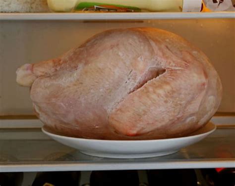 How to Quickly Defrost a Turkey | KeepTheTech