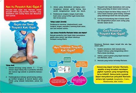 Penyakit Kaki Gajah – Pemerintah Kabupaten Belitung