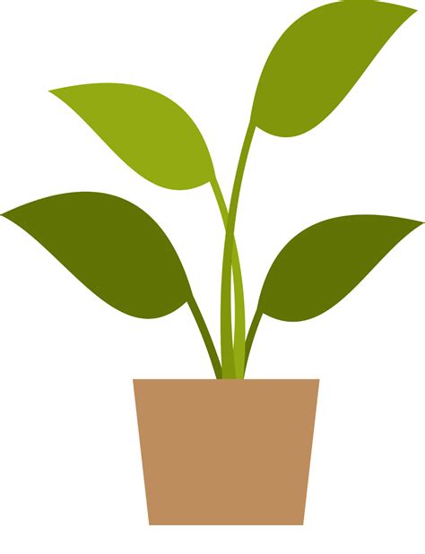 Potted Plant Clipart Free Pngtree offers over 1675 potted plant png and vector images as well as ...