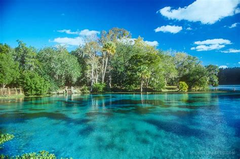 Silver Glen Springs > Ocala National Forest