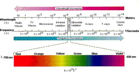 LIGHT, EYE AND VISION - WikiLectures