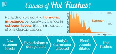 Causes of Hot Flashes during Menopause | Menopause Now